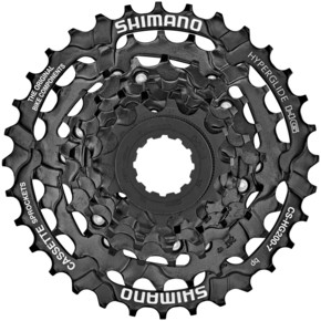 Nunc congue dui nec...