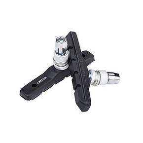 Nunc congue dui nec...