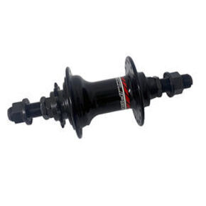 Nunc congue dui nec...