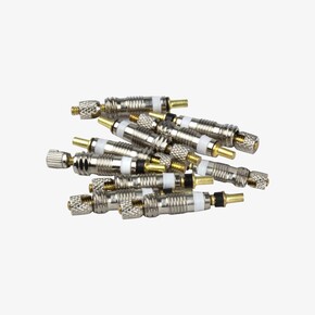 Nunc congue dui nec...